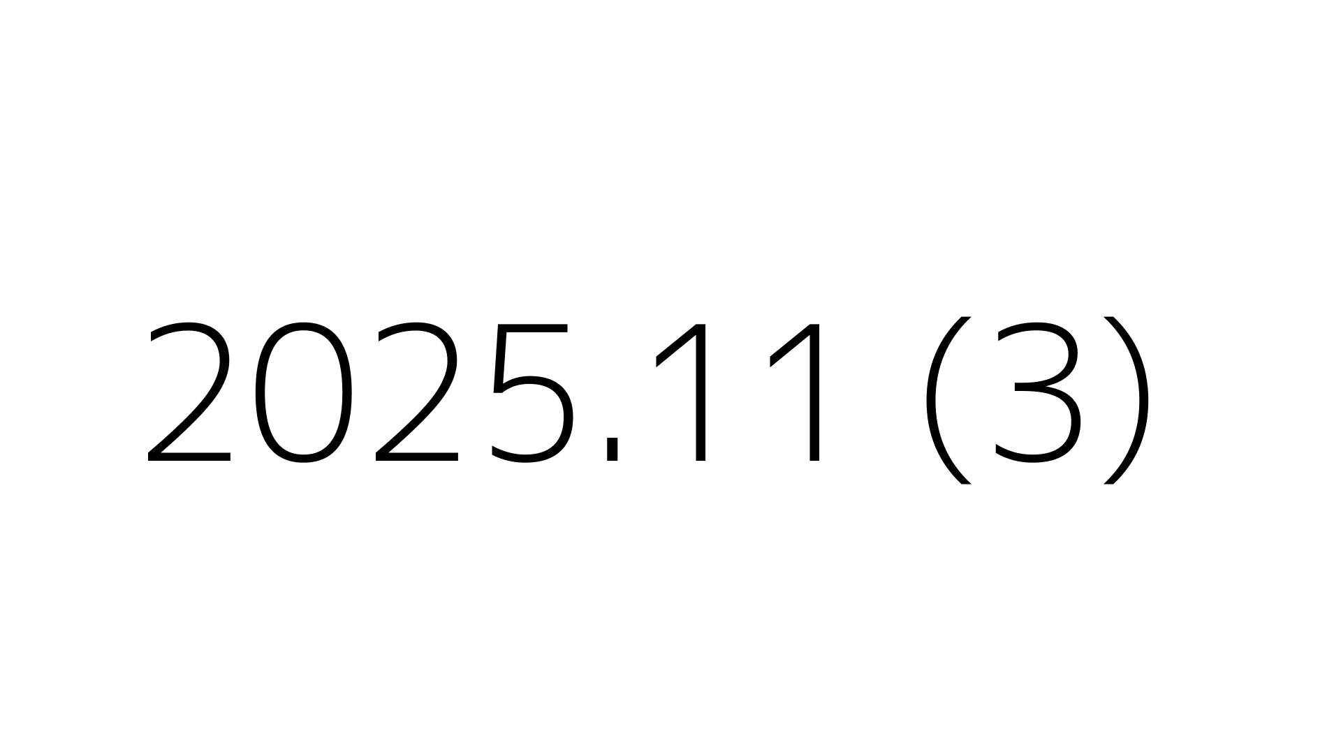 2025.11 (3)